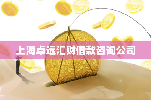 上海卓远汇财借款咨询公司