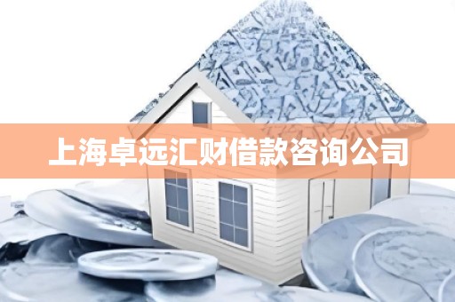 上海卓远汇财借款咨询公司