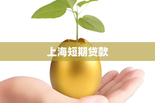 上海短期贷款