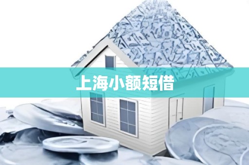 上海小额短借