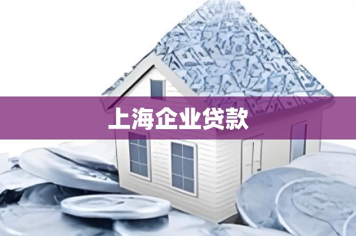 上海企业贷款