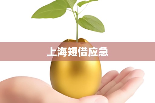 上海短借应急